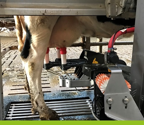 Milk collection Milk collection